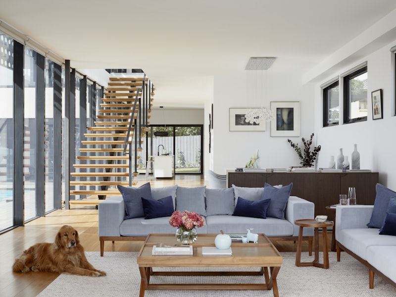 Concrete paths and steps